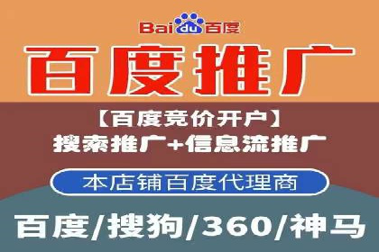 百度SEM推广案例解析：成功秘诀大公开
